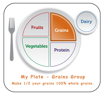 learn about grains food group