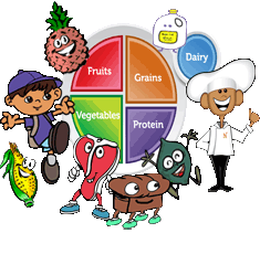 vitamins comes from the foods in the food groups