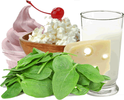 foods highest in calcium